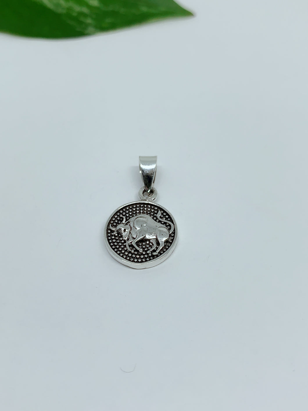 Sterling silver pendant zodiac sign