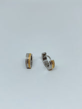 Load image into Gallery viewer, Stainless steel hinge earring
