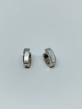 Load image into Gallery viewer, Stainless steel hinge earring
