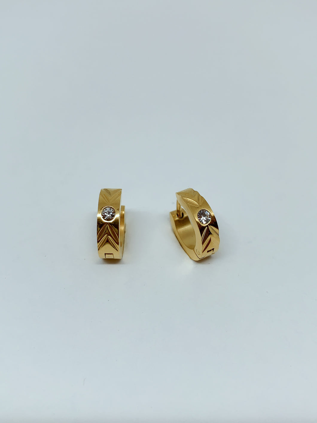 Stainless steel hinge earring