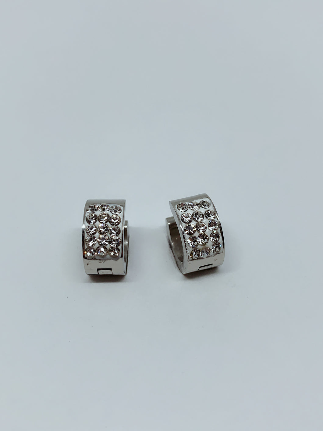 Stainless steel hinge earring