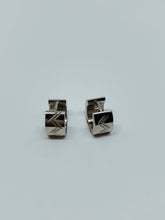 Load image into Gallery viewer, Stainless steel hinge earring
