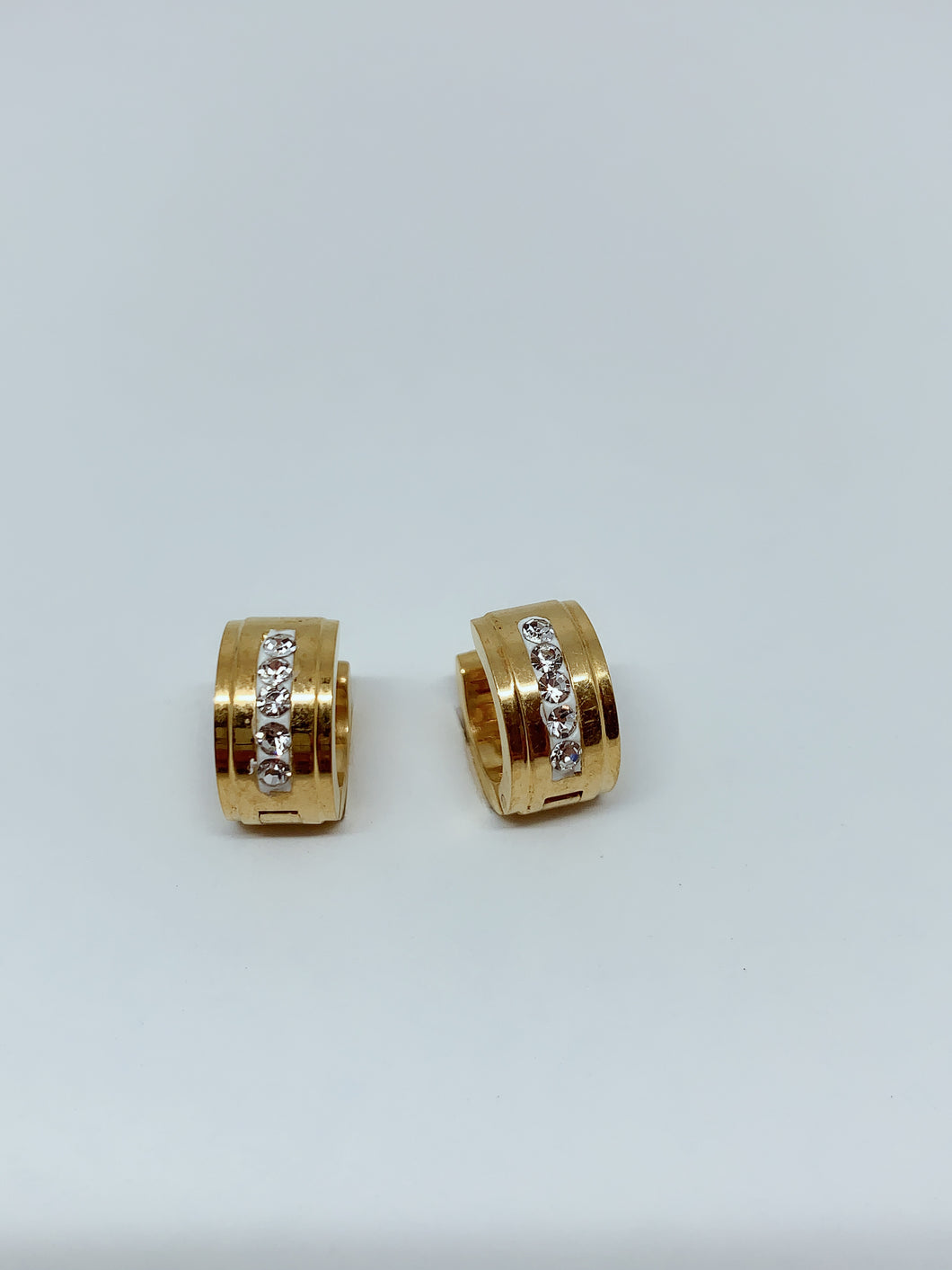 Stainless steel hinge earring