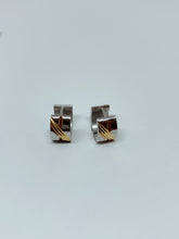 Load image into Gallery viewer, Stainless steel hinge earring
