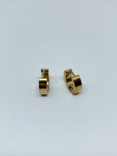 Load image into Gallery viewer, Stainless steel hinge earring
