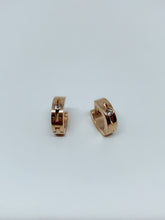 Load image into Gallery viewer, Stainless steel hinge earring
