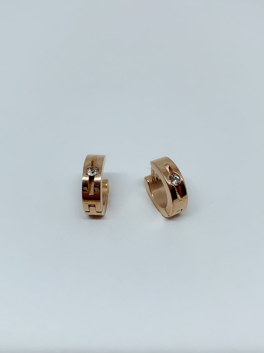 Stainless steel hinge earring