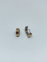 Load image into Gallery viewer, Stainless steel hinge earring
