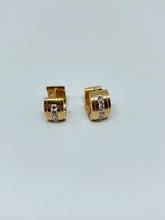 Load image into Gallery viewer, Stainless steel hinge earring
