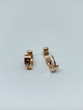 Load image into Gallery viewer, Stainless steel hinge earring
