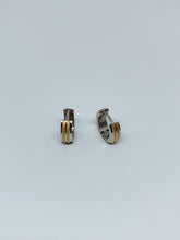 Load image into Gallery viewer, Stainless steel hinge earring
