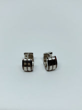 Load image into Gallery viewer, Stainless steel hinge earring
