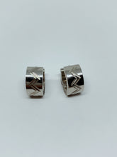 Load image into Gallery viewer, Stainless steel hinge earring
