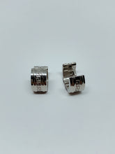 Load image into Gallery viewer, Stainless steel hinge earring
