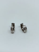 Load image into Gallery viewer, Stainless steel hinge earring
