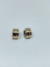 Load image into Gallery viewer, Stainless steel hinge earring
