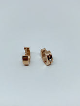 Load image into Gallery viewer, Stainless steel hinge earring
