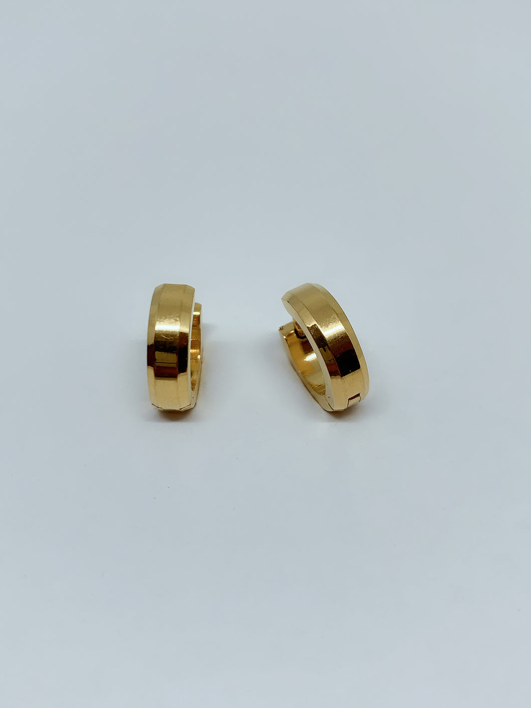 Stainless steel hinge earring