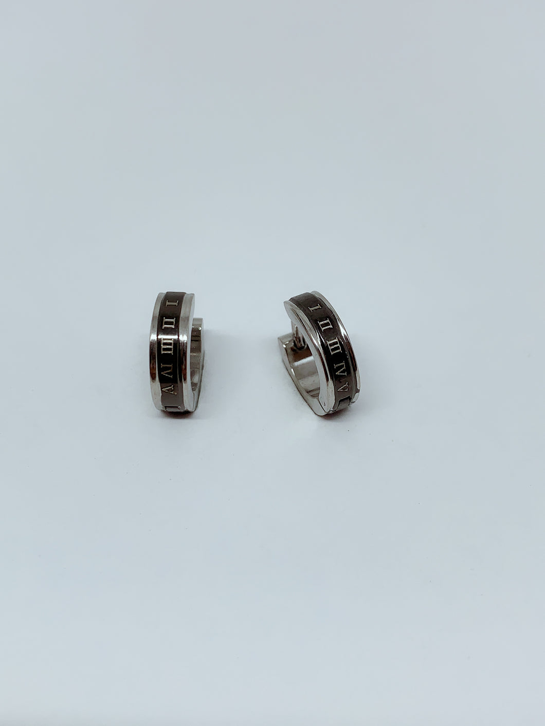 Stainless steel hinge earring