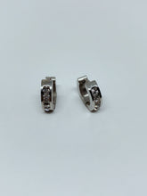 Load image into Gallery viewer, Stainless steel hinge earring
