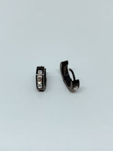 Load image into Gallery viewer, Stainless steel hinge earring
