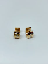 Load image into Gallery viewer, Stainless steel hinge earring
