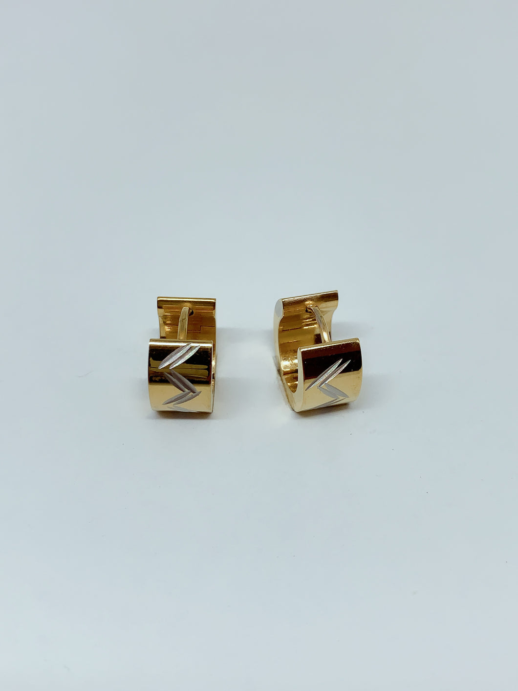 Stainless steel hinge earring