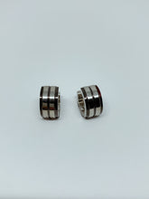 Load image into Gallery viewer, Stainless steel hinge earring
