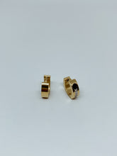 Load image into Gallery viewer, Stainless steel hinge earring
