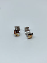 Load image into Gallery viewer, Stainless steel hinge earring
