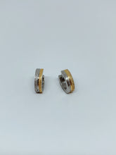 Load image into Gallery viewer, Stainless steel hinge earring
