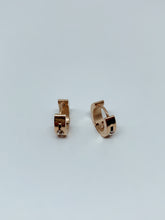 Load image into Gallery viewer, Stainless steel hinge earring
