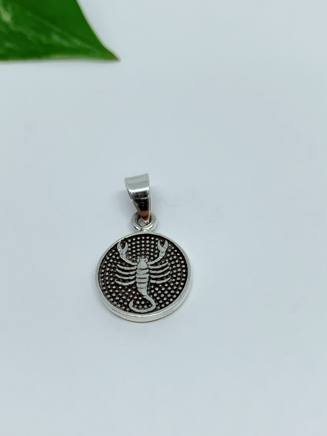 Sterling silver pendant zodiac sign