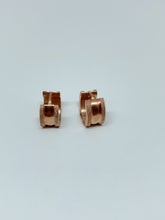 Load image into Gallery viewer, Stainless steel hinge earring
