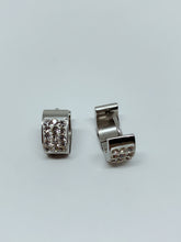 Load image into Gallery viewer, Stainless steel hinge earring
