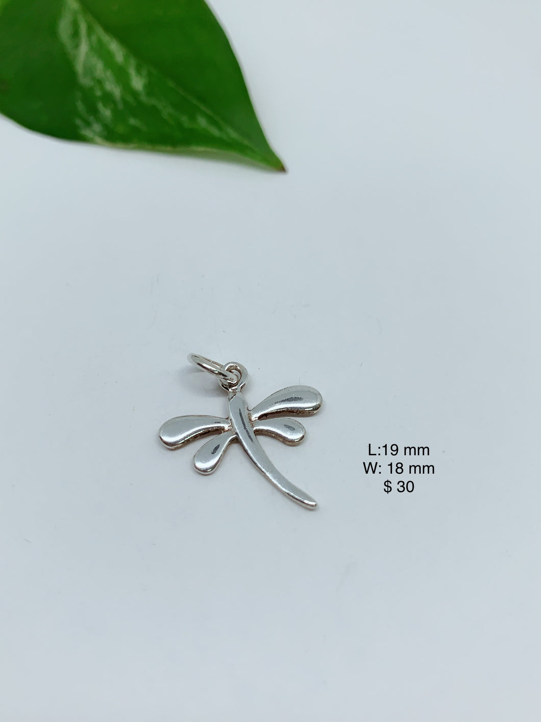 Sterling silver pendant