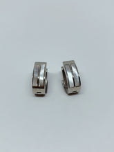 Load image into Gallery viewer, Stainless steel hinge earring
