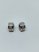 Load image into Gallery viewer, Stainless steel hinge earring
