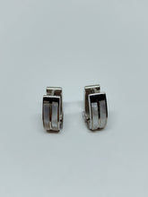 Load image into Gallery viewer, Stainless steel hinge earring
