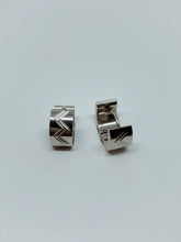 Load image into Gallery viewer, Stainless steel hinge earring
