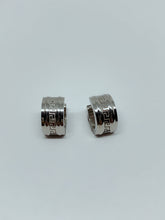 Load image into Gallery viewer, Stainless steel hinge earring
