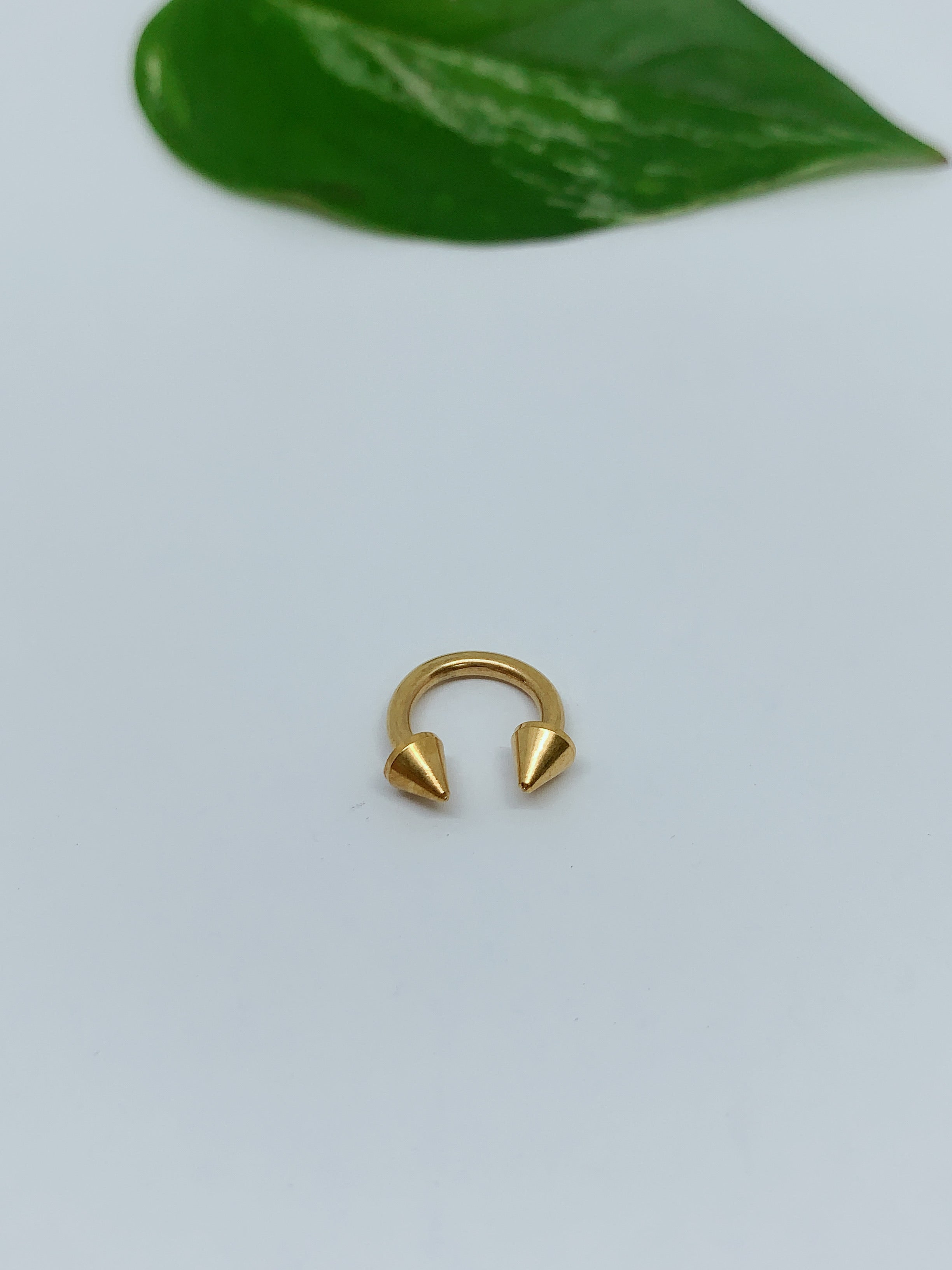 12G Multi-purpose body piercing ring