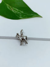 Load image into Gallery viewer, sterling silver pendant
