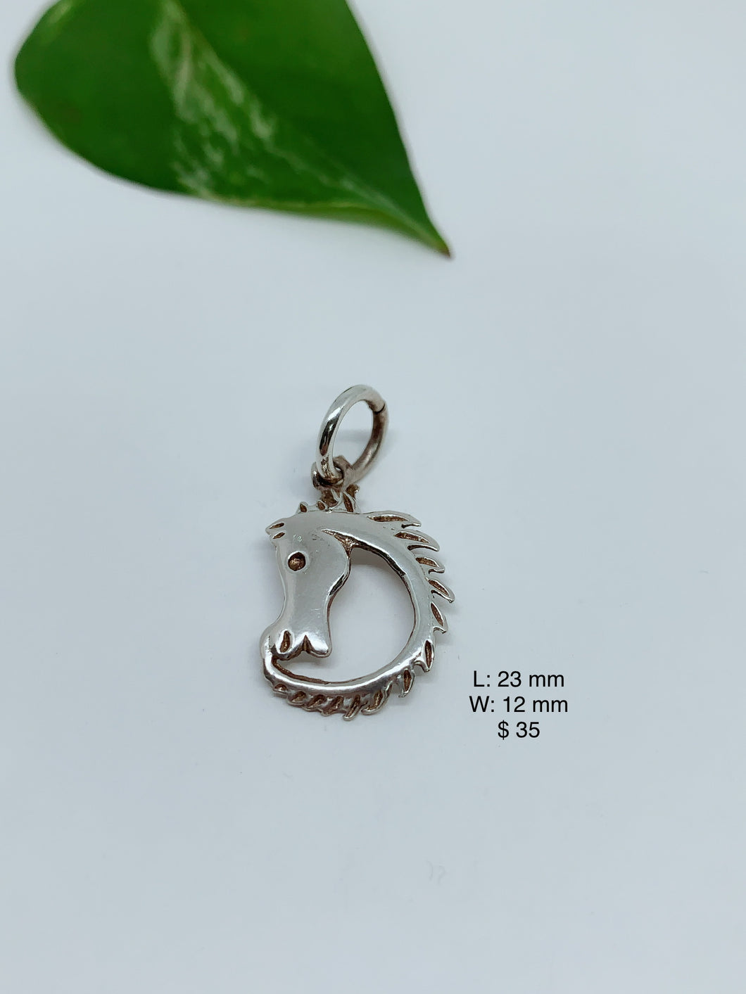 Sterling silver pendant